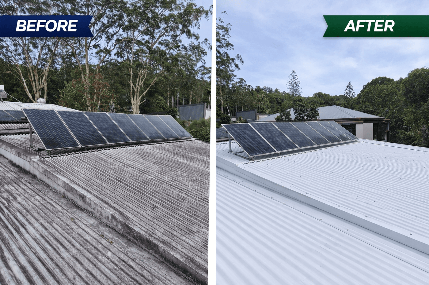 House Champs before and after cleaning result